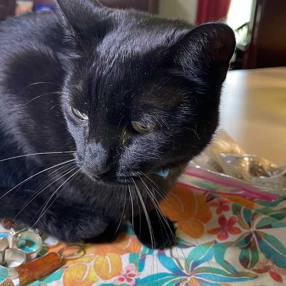 Sterling silver and citrine adjustable ring - Picture 9 of 9